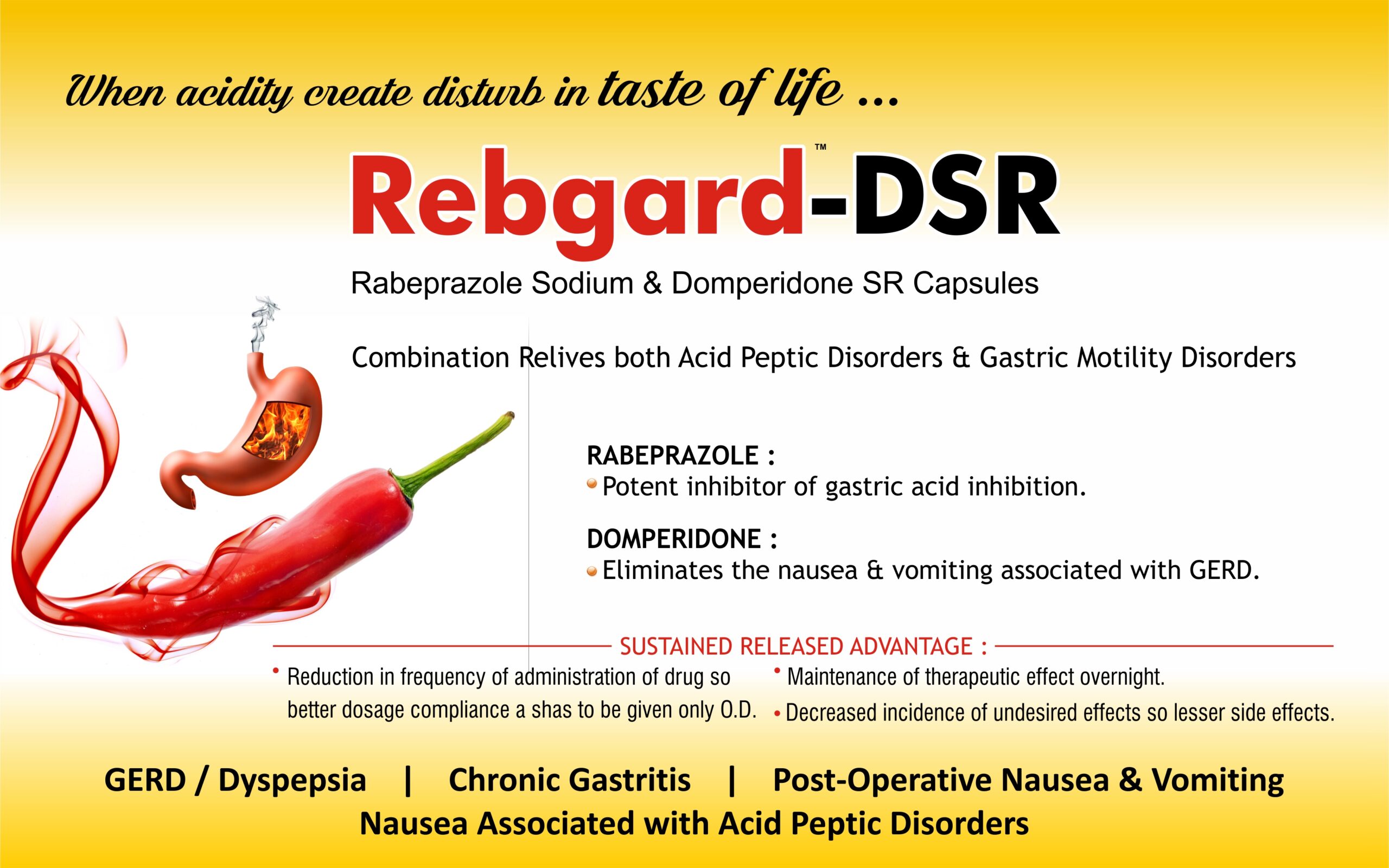Rebgard DSR